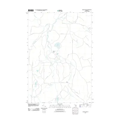 2011 Map of Silver Lake, 2011 Print