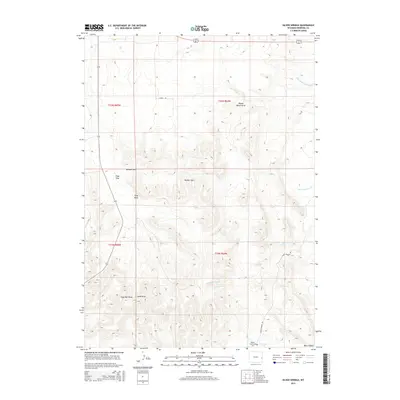 2015 Map of Silver Springs, 2015 Print