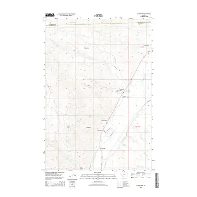 2014 Map of Silver Star, 2014 Print