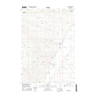 2017 Map of Silver Star, 2017 Print