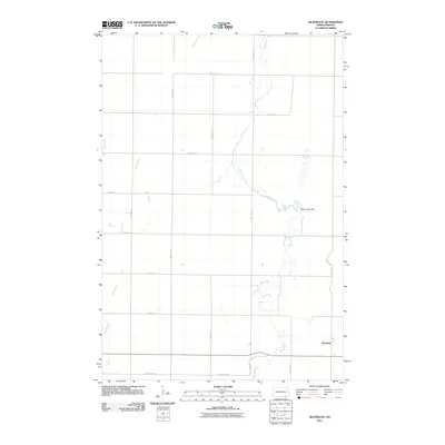 2011 Map of Silverleaf, 2011 Print
