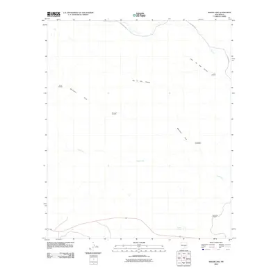 2010 Map of Singer Lake, 2010 Print