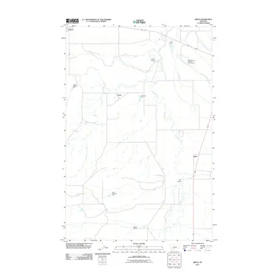 2011 Map of Sipple, 2011 Print