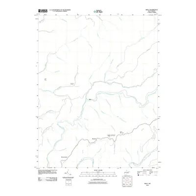 2010 Map of Skelt, 2010 Print