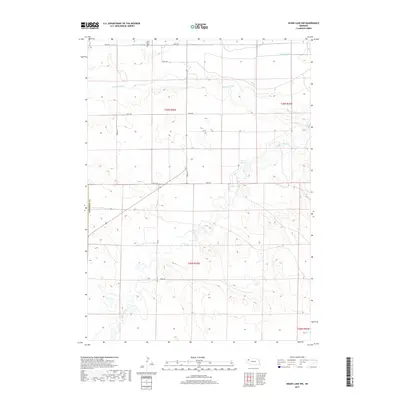 2017 Map of Skunk Lake NW, 2017 Print