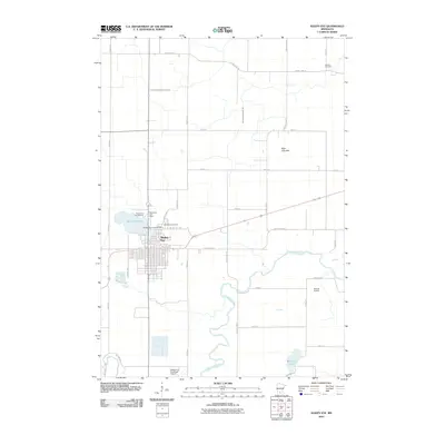 2010 Map of Sleepy Eye, 2010 Print