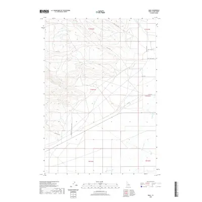 2020 Map of Small, 2020 Print