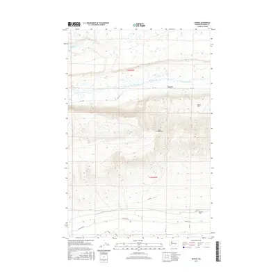 2017 Map of Smyrna, 2017 Print