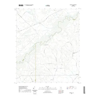 2020 Map of Snipesville, 2020 Print