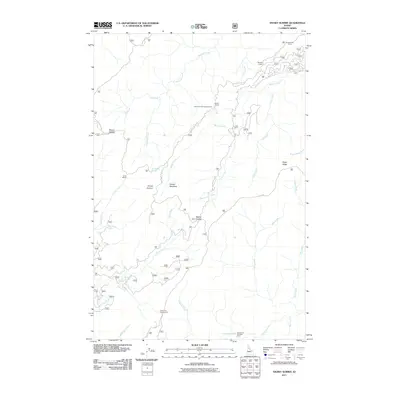 2011 Map of Snowy Summit, 2011 Print