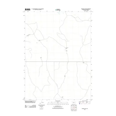 2011 Map of Snyder Lake, 2011 Print
