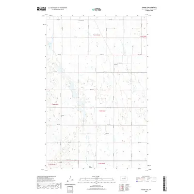 2020 Map of Snyder Lake, 2020 Print