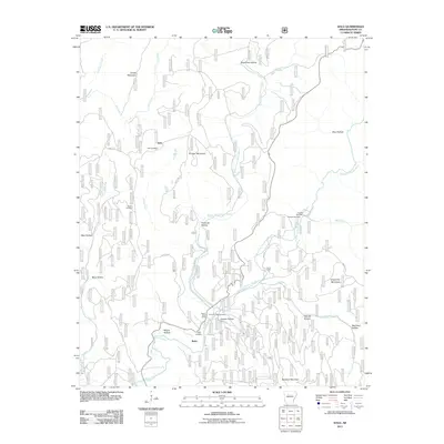 2011 Map of Solo, 2011 Print