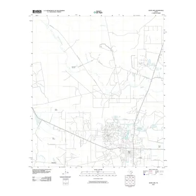 2010 Map of Sour Lake, 2010 Print