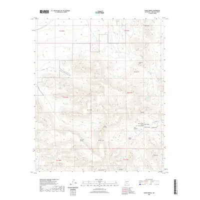 2020 Map of Souse Springs, 2020 Print
