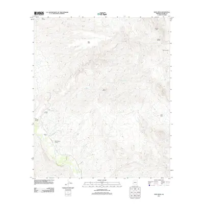 2011 Map of Soza Mesa, 2011 Print