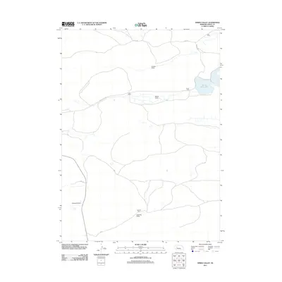 2011 Map of Spring Valley, 2011 Print