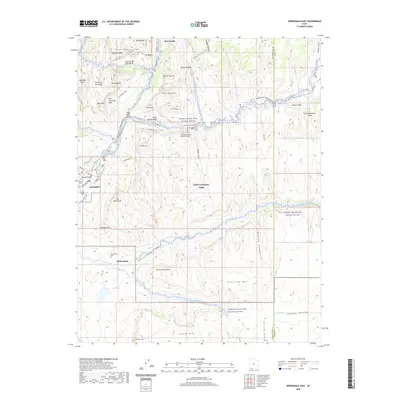 2020 Map of Springdale East, 2020 Print
