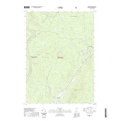 2021 Map of Stamford, 2021 Print
