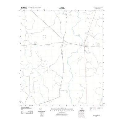 2011 Map of Statenville, 2011 Print