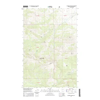 2017 Map of Steamboat Mountain, 2017 Print