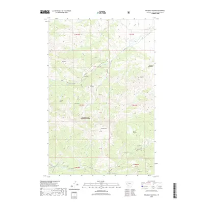 2020 Map of Steamboat Mountain, 2020 Print