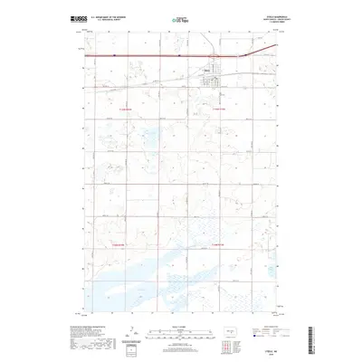 2020 Map of Steele, 2020 Print