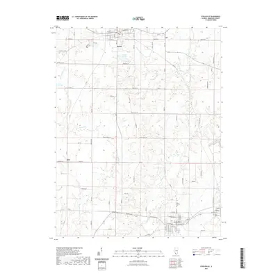 2021 Map of Steeleville, 2021 Print