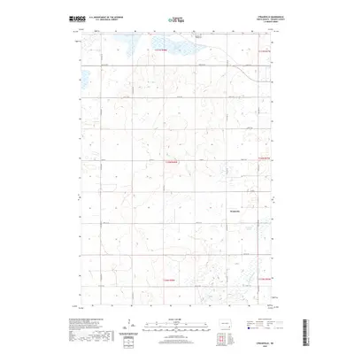 2020 Map of Straubville, 2020 Print
