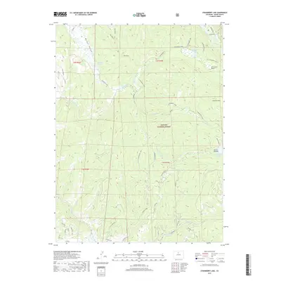 2019 Map of Strawberry Lake, 2019 Print