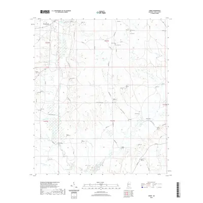 2020 Map of Street, 2020 Print