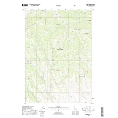 2020 Map of Sturgill Peak, 2020 Print