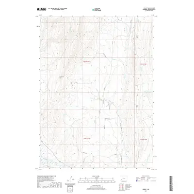 2017 Map of Sublet, 2017 Print