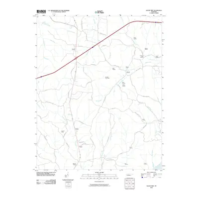 2010 Map of Sugar Tree, 2010 Print