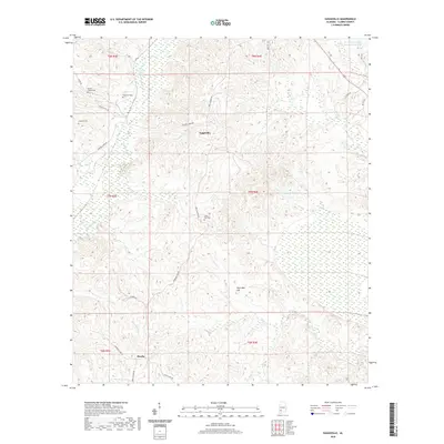 2020 Map of Suggsville, 2020 Print