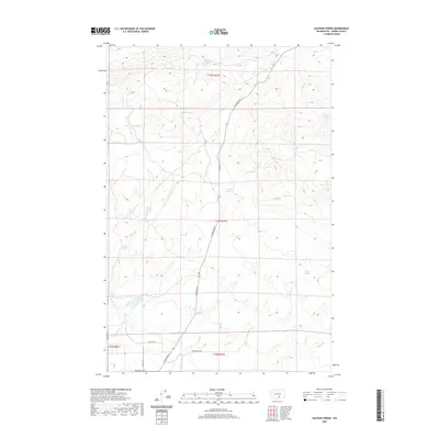 2020 Map of Sulphur Spring, 2020 Print
