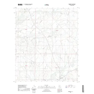 2020 Map of Summerville, 2020 Print