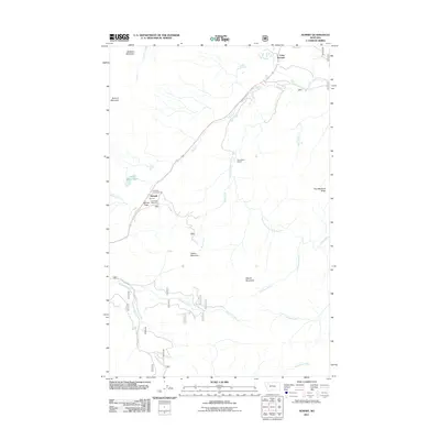 2011 Map of Summit, 2011 Print