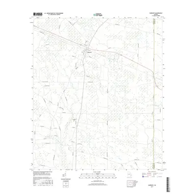 2017 Map of Surrency, 2017 Print