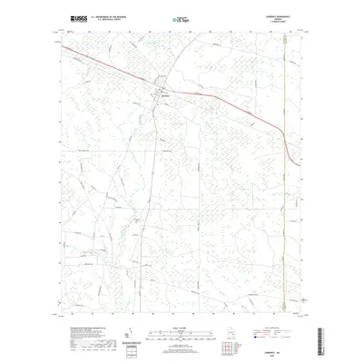 2020 Map of Surrency, 2020 Print