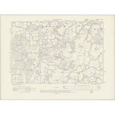 1913 Map of Surrey XL.SW, 1919 Print
