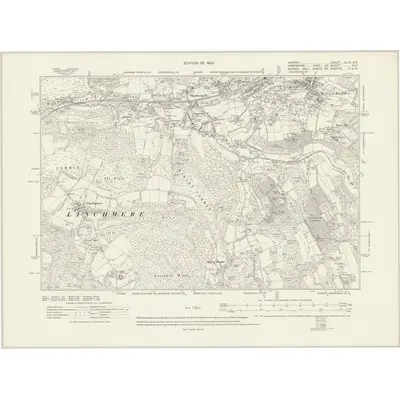 1913 Map of Surrey XLIV.SE, 1920 Print