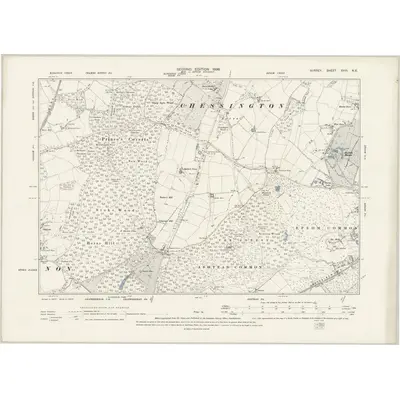 1894 Map of Surrey XVIII.NE, 1896 Print