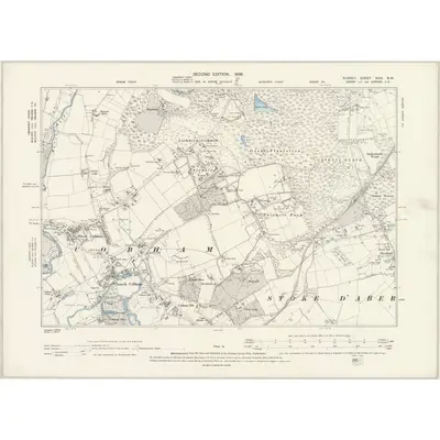 1894 Map of Surrey XVIII.NW, 1896 Print