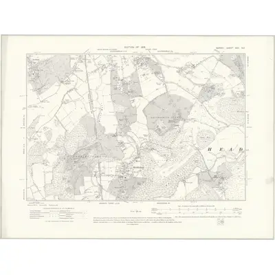 1913 Map of Surrey XXV.NE, 1919 Print