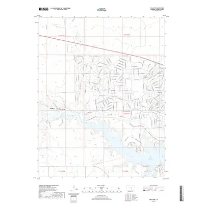 2019 Map of Swallows, 2019 Print