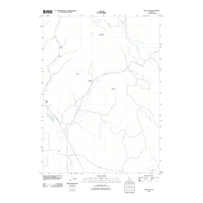 2010 Map of Swan Lake, 2010 Print