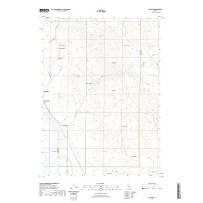 2020 Map of Swan Lake, 2020 Print