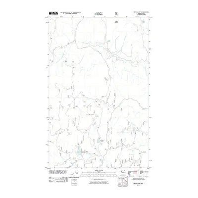 2011 Map of Swan Lake, 2011 Print