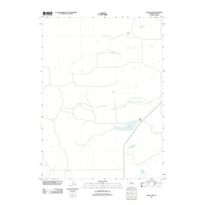 2011 Map of Swan Lake, 2011 Print